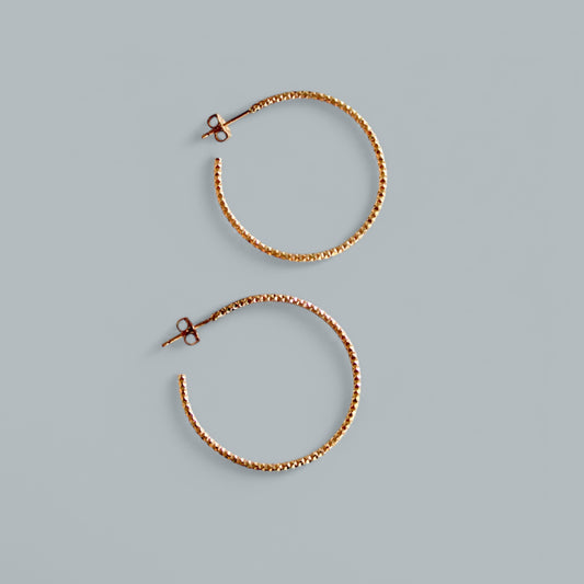 Sylvia sparkle hoops