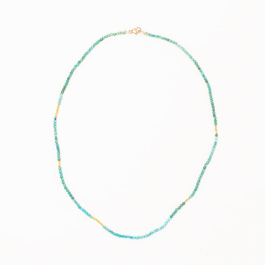 Jamie Petite Turquoise & Gold Necklace