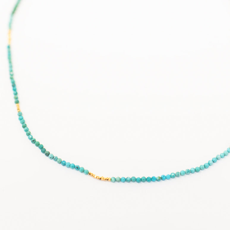 Jamie Petite Turquoise & Gold Necklace